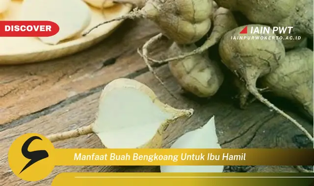 Ketahui 5 Manfaat Bengkoang untuk Ibu Hamil yang Menakjubkan