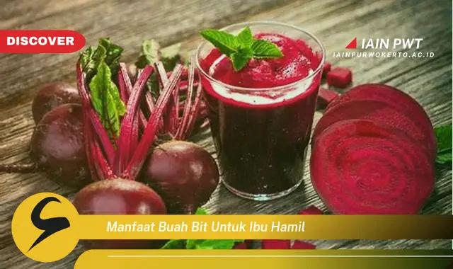 manfaat buah bit untuk ibu hamil