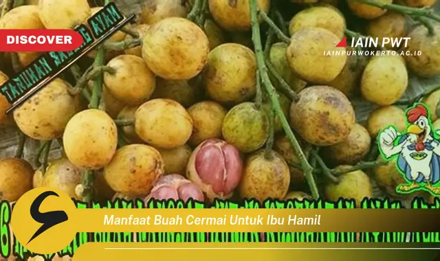 manfaat buah cermai untuk ibu hamil