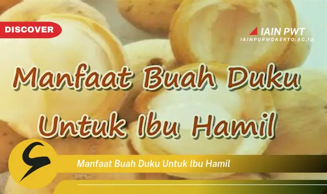 Ketahui 5 Manfaat Buah Duku untuk Kehamilan Sehat