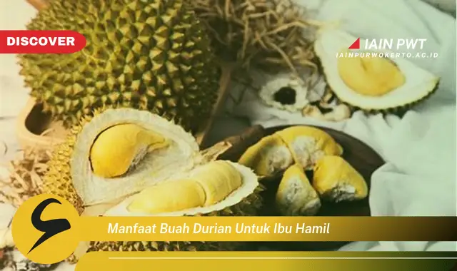 Ketahui 5 Manfaat Durian untuk Ibu Hamil yang Menakjubkan