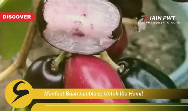 manfaat buah jamblang untuk ibu hamil