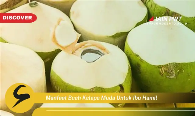 Ketahui 7 Manfaat Kelapa Muda untuk Kehamilan Sehat