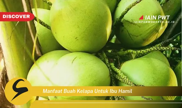 manfaat buah kelapa untuk ibu hamil