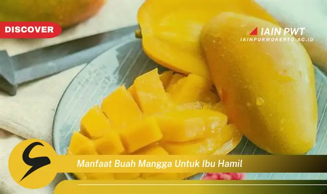 Ketahui 7 Manfaat Mangga  untuk Ibu Hamil