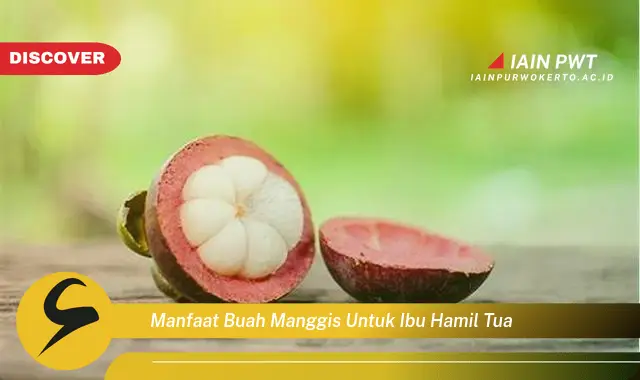 Ketahui 7 Manfaat Manggis bagi Ibu Hamil Tua