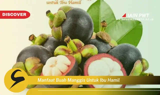 Ketahui 5 Manfaat Manggis Bagi Ibu Hamil