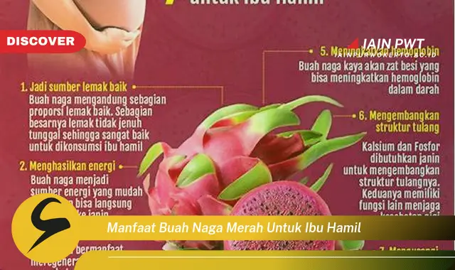 7 Manfaat Buah Naga Merah untuk Kehamilan Sehat