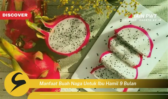 Ketahui 7 Manfaat Buah Naga untuk Ibu Hamil Trimester 3