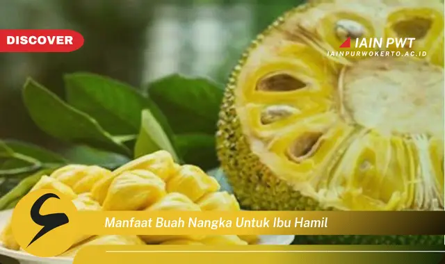 manfaat buah nangka untuk ibu hamil