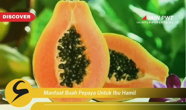 manfaat buah pepaya untuk ibu hamil