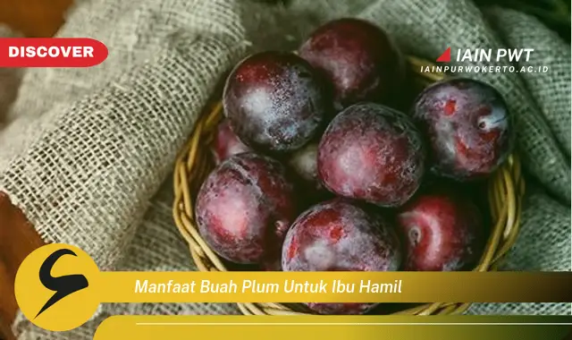 Ketahui 5 Manfaat Ajaib Buah Plum untuk Ibu Hamil