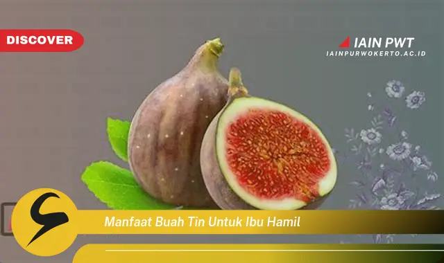 9 Manfaat Buah Tin untuk Kehamilan Sehat