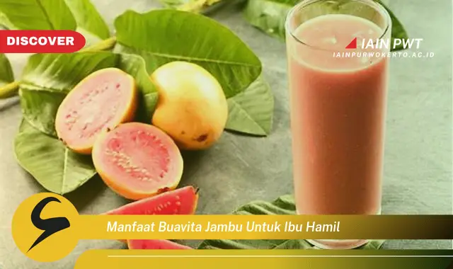 Ketahui 7 Manfaat Buavita Jambu untuk Kehamilan Sehat