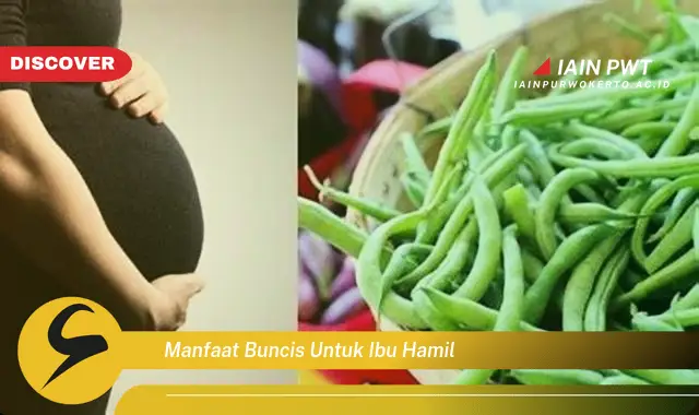 Ketahui 7 Manfaat Ajaib Buncis untuk Ibu Hamil