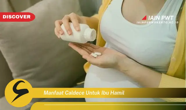 Ketahui 5 Manfaat Caldece bagi Ibu Hamil