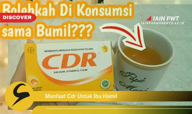 Temukan 5 Manfaat CDR Bagi Ibu Hamil