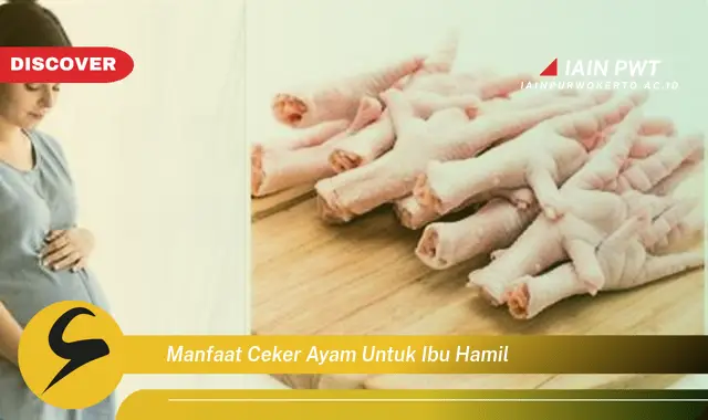 Ketahui 7 Manfaat Ceker Ayam untuk Kehamilan Sehat