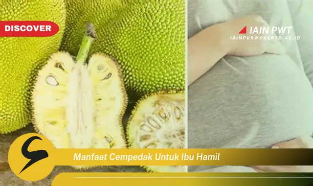 manfaat cempedak untuk ibu hamil