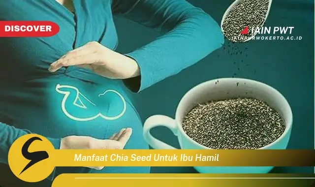 Ketahui 8 Manfaat Chia Seed: Kesehatan Ibu Hamil