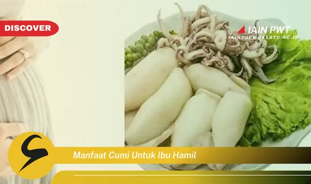 Ketahui 5 Manfaat Cumi yang Menakjubkan untuk Ibu Hamil