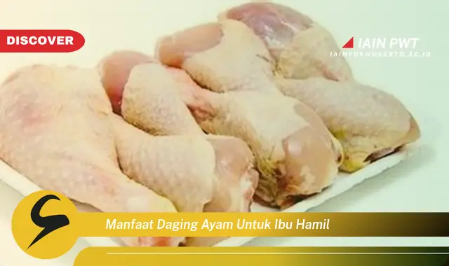 Ketahui 7 Manfaat Daging Ayam bagi Ibu Hamil