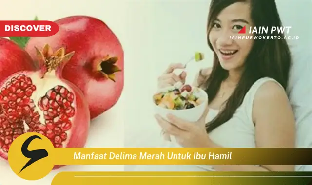 manfaat delima merah untuk ibu hamil