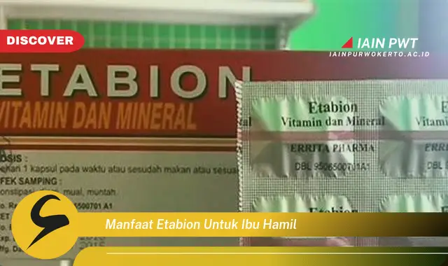 Ketahui 5 Manfaat Etabion untuk Kehamilan Sehat