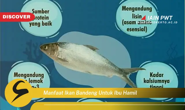 Ketahui 5 Manfaat Ikan Bandeng untuk Kehamilan Sehat