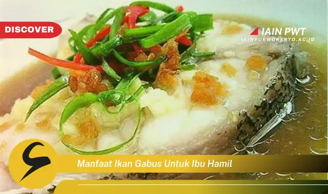 manfaat ikan gabus untuk ibu hamil