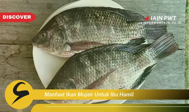 Ketahui 7 Manfaat Ikan Mujair bagi Kehamilan Sehat