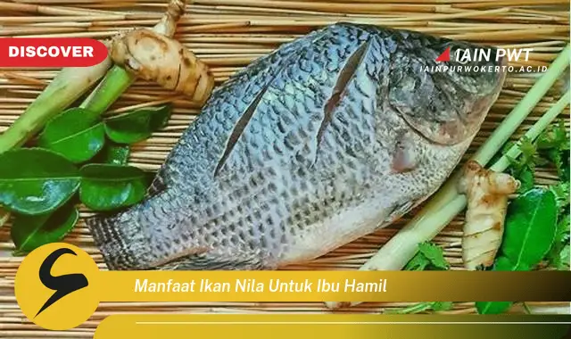 10 Manfaat Ikan Nila Bagi Ibu Hamil Yang Sehat