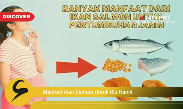 Ketahui 7 Manfaat Salmon: Sehat untuk Ibu Hamil