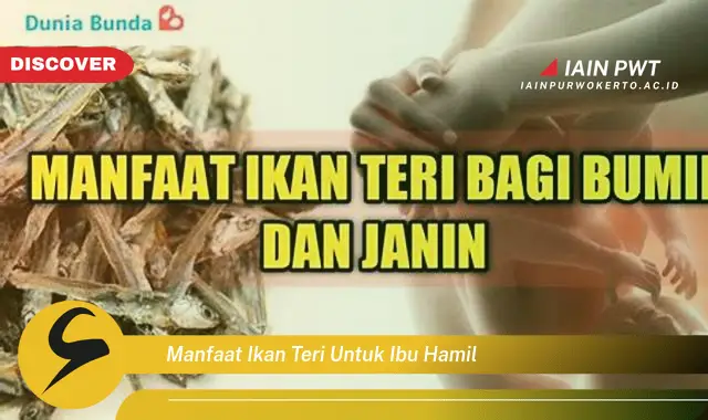 manfaat ikan teri untuk ibu hamil