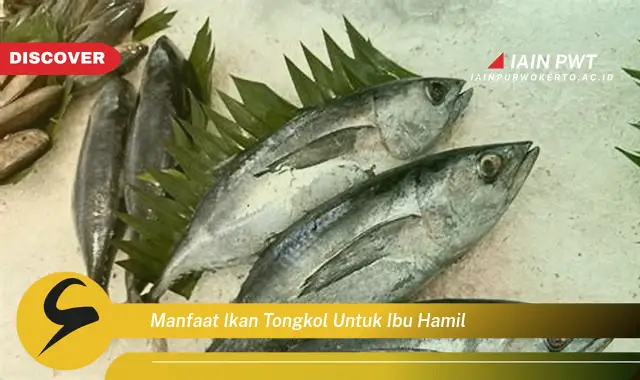 Ketahui 7 Manfaat Ikan Tongkol untuk Kehamilan Sehat