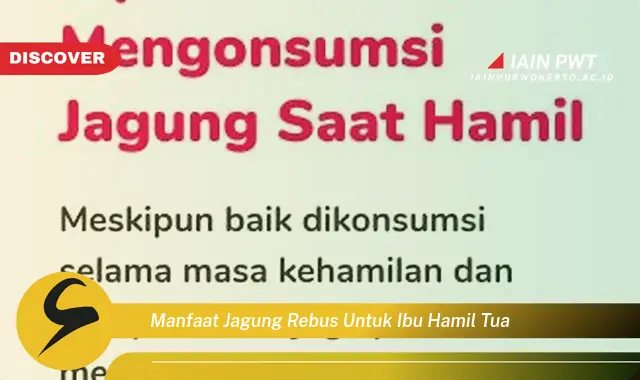 7 Manfaat Jagung Rebus Bagi Ibu Hamil Tua