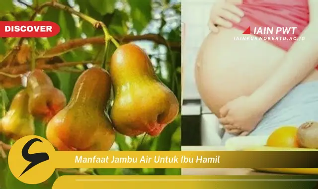 Ketahui 5 Manfaat Jambu Air untuk Ibu Hamil