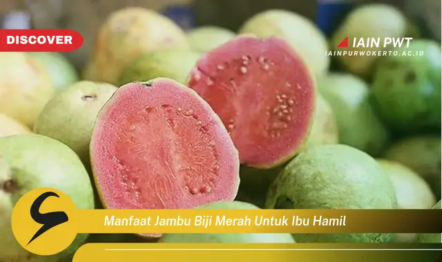 manfaat jambu biji merah untuk ibu hamil