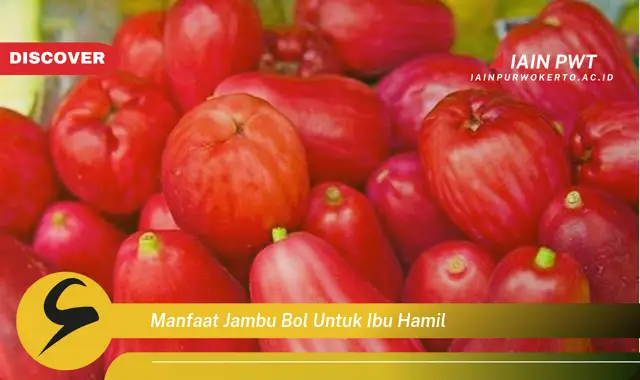 Temukan 5 Manfaat Jambu Bol bagi Kehamilan