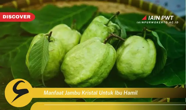 manfaat jambu kristal untuk ibu hamil