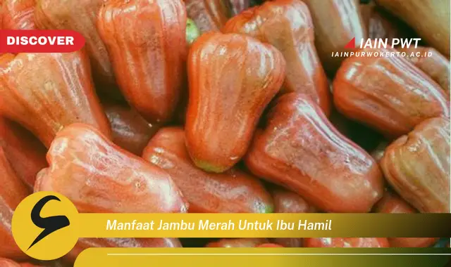 Ketahui 7 Manfaat Jambu Merah untuk Kehamilan Sehat