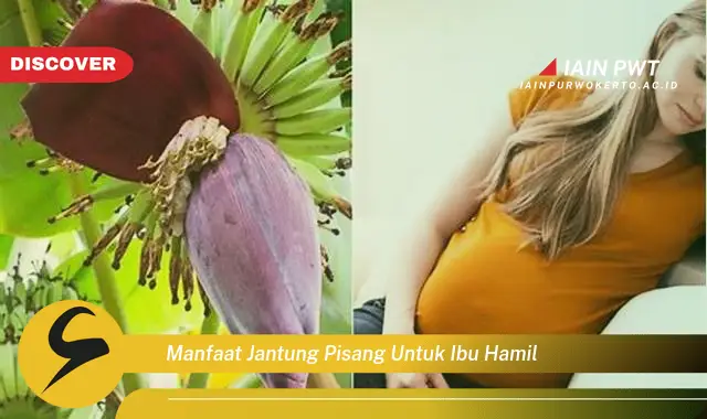 Ketahui 5 Manfaat Jantung Pisang untuk Kehamilan Sehat