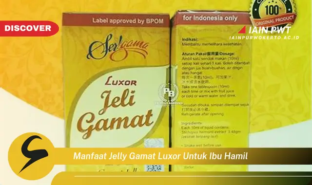 manfaat jelly gamat luxor untuk ibu hamil