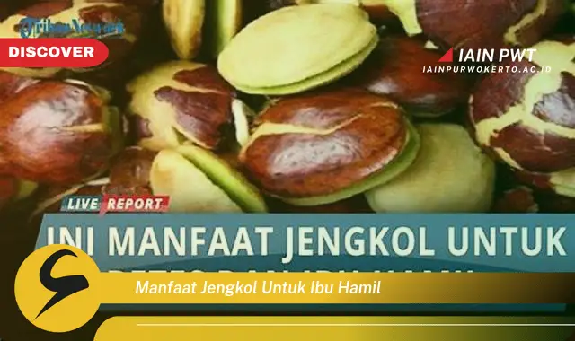 Ketahui 5 Manfaat Jengkol bagi Ibu Hamil yang Mengejutkan