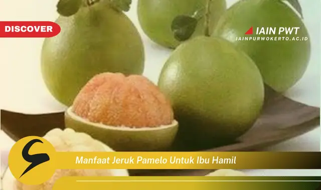 Ketahui 7 Manfaat Jeruk Pamelo untuk Ibu Hamil yang Menakjubkan