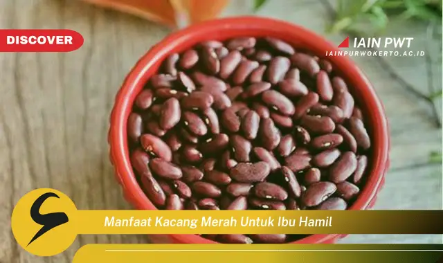 Ketahui 7 Manfaat Kacang Merah untuk Ibu Hamil