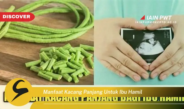 manfaat kacang panjang untuk ibu hamil