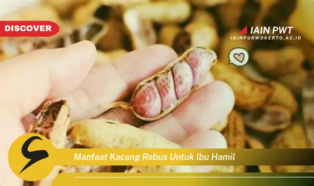 Ketahui 7 Manfaat Kacang Rebus bagi Kehamilan Sehat