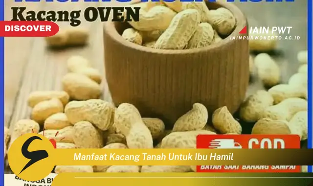 Temukan 7 Manfaat Kacang Tanah bagi Ibu Hamil