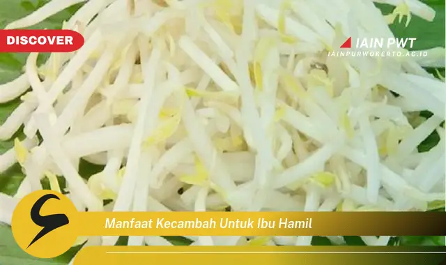 Ketahui 5 Manfaat Kecambah bagi Ibu Hamil